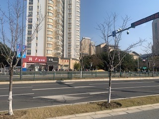IMG_7843.jpg